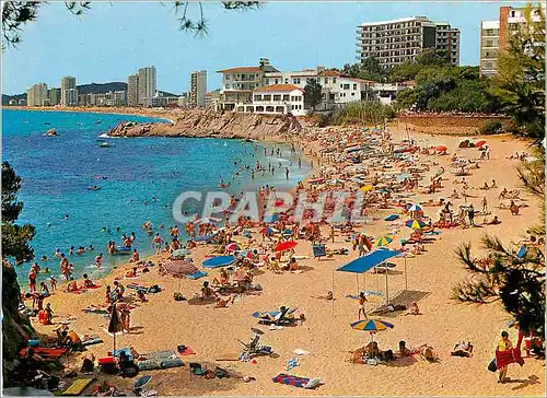 Cartes postales moderne Costa Brava Playa de Aro