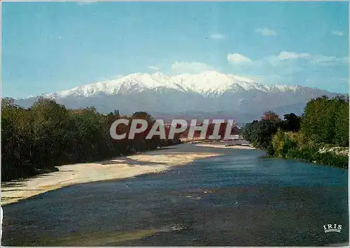 Cartes postales moderne Le Roussillon Le Canigou et les rives du Tech au printemps