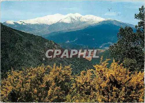 Cartes postales moderne Le Canigou