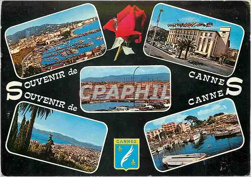 Cartes postales moderne Souvenir de Cannes