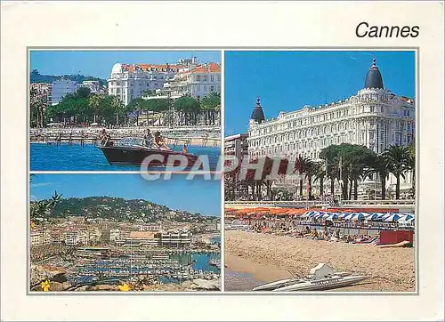 Cartes postales moderne Cannes Alpes Mar