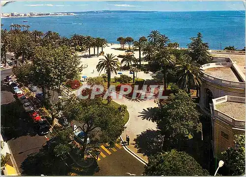 Cartes postales moderne Les Sites Merveilleux de la Cote d'Azur Cannes AM