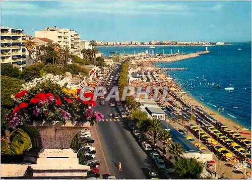 Cartes postales moderne La Cote d'Azur Cannes AM La Plage du Midi