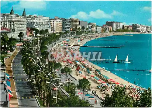 Cartes postales moderne Cote d'Azur Cannes La Croisette et les grands Hotel