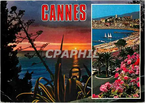 Cartes postales moderne Cannes Alpes Maritimes La Croisette Au fond le Suquet