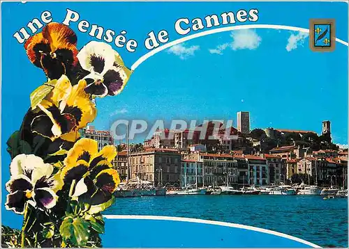 Cartes postales moderne Une Pensee de Cannes