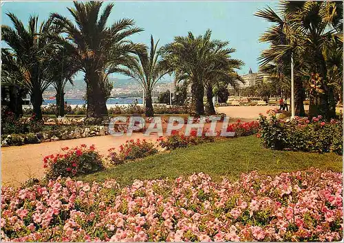 Moderne Karte Cannes Une partie des Jardins fleuris de La Croisette