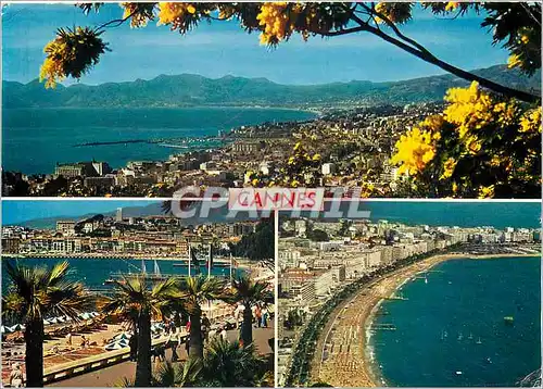 Cartes postales moderne Cannes A Mmes