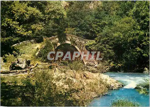 Cartes postales moderne Villefranche de Rouergue Aveyron Le Pont du Cayla