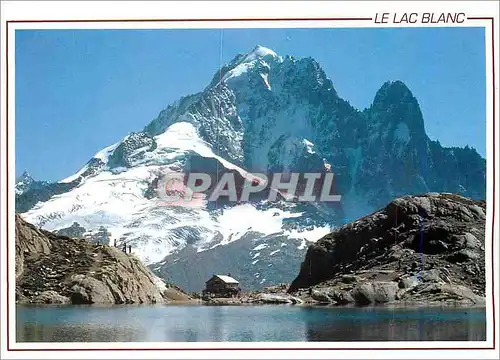 Cartes postales moderne Le Lac Blanc