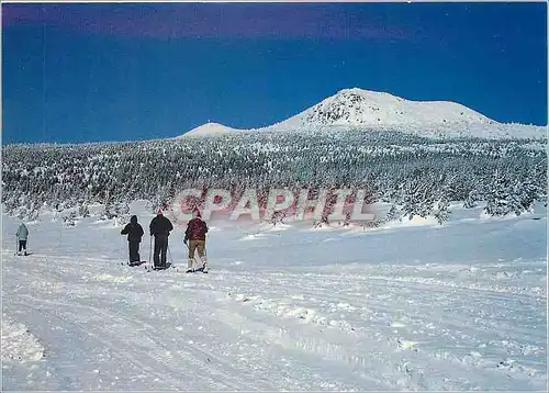 Cartes postales moderne Ski de Fond au Mezenc