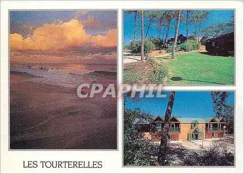 Cartes postales moderne Les Tourterelles