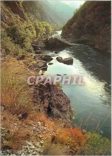 Cartes postales moderne Les Gorges du Verdon Var Alpes de Haute Provence