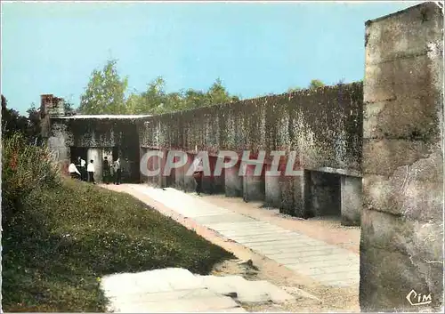 Cartes postales moderne Verdun Meuse Tranchee des Baionnettes