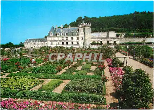 Cartes postales moderne Le Chateau de Villandry Le Jardin de Legumes