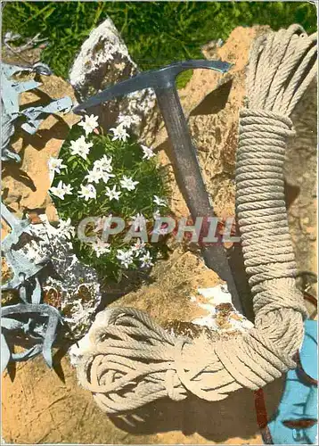 Cartes postales moderne Les Alpes Vers les Cimes Alpinisme