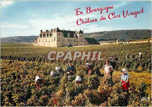 Moderne Karte En Bourgogne Chateau du Clos Vougeot Scenes de vendanges des grands crus du Clos Veugeot