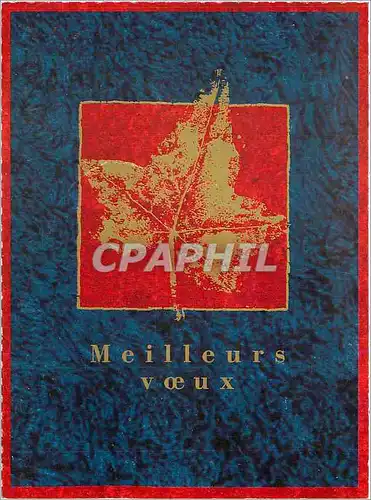 Cartes postales moderne Meilleurs Voeux