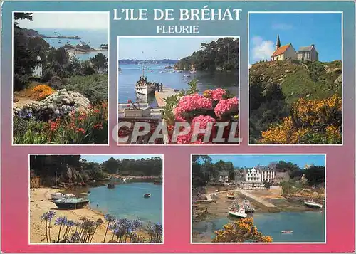 Cartes postales moderne L'Ile de Brehat Fleurie