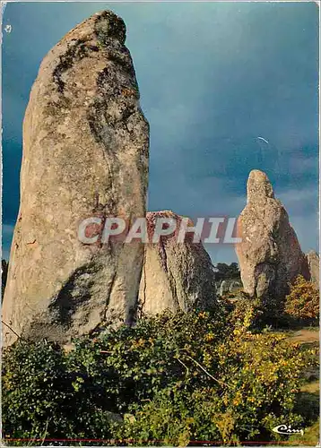 Cartes postales moderne Carnac Morbihan Alignements de Kermario