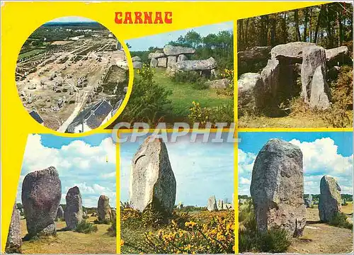 Cartes postales moderne Carnac Les Alignements de Menhirs