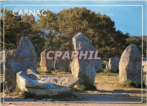 Cartes postales moderne Carnac Morbihan Les Alignements de Kermario