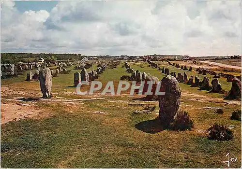 Cartes postales moderne Carnac Morbihan Les Alignements du Menec