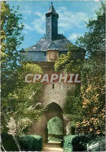 Cartes postales moderne La Vallee de la Brenne Chateau Renault Indre et Loire