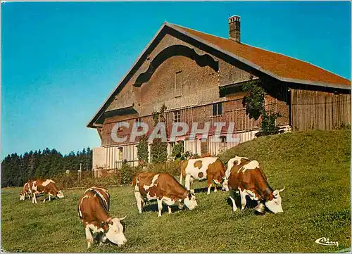 Cartes postales moderne Vieille Ferme Franc Comtoise du Chauffaud