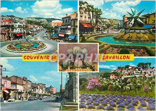 Cartes postales moderne Souvenir de Cavaillon