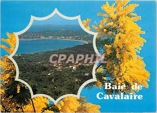 Cartes postales moderne Baie de Cavalaire