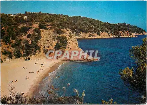 Cartes postales moderne Cavalaire Var La Plage de Bon Porteau