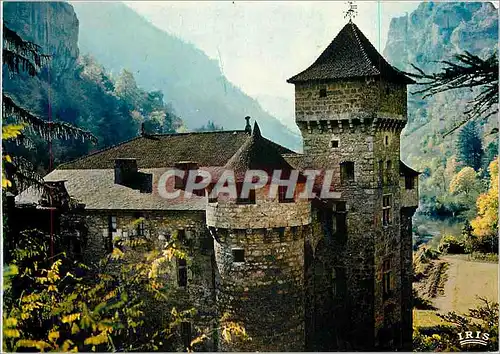 Cartes postales moderne Les Gorges du Tarn Le Chateau de La Caze Manoir Gothique