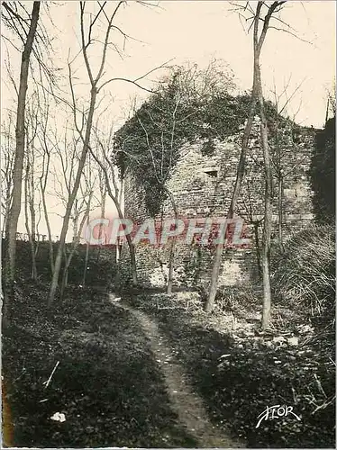 Moderne Karte Dol de Bretagne Les Ruines du Chateau