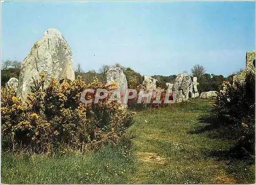 Cartes postales moderne Vieilles Pierres en Bretagne Les Alignements megalithiques de Kerzhero a Erdevec