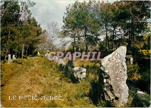 Cartes postales moderne Le Petit Menec