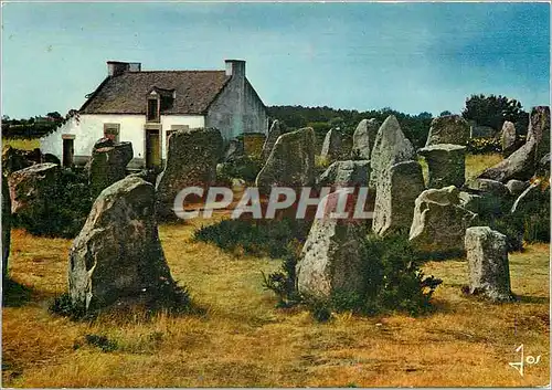 Cartes postales moderne Les Alignements d'Erdeven dans la region de Carnac