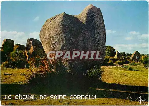 Cartes postales moderne Le Cheval de Saint Cornely