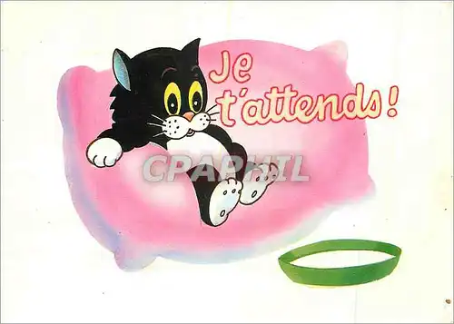 Cartes postales moderne Collection Smolly the Cat