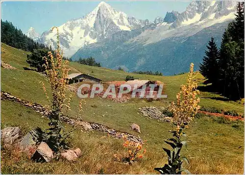 Cartes postales moderne Au pays du Mont Blanc
