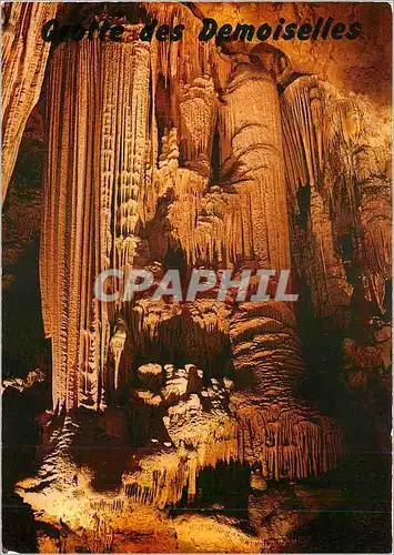 Cartes postales moderne La Grotte des Demoiselles pres de Ganges a Saint Bauzille de Putois Les Grandes Orgues