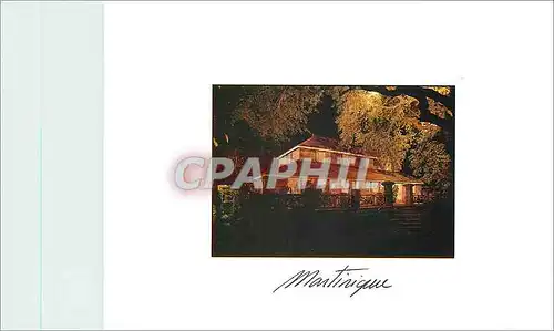 Cartes postales moderne Martinique