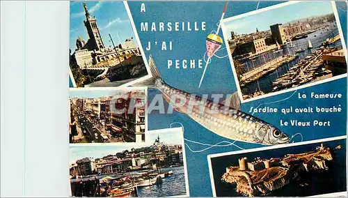 Cartes postales moderne Marseille B du R Peche Sardine