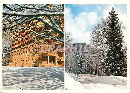 Cartes postales moderne Martel de Janville Haute Savoie