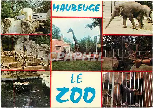 Cartes postales moderne Maubeuge Le Zoo Giraffe Elephant Ours Blanc