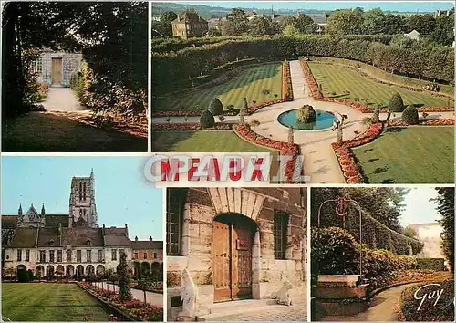 Cartes postales moderne Meaux Seine et Marne Dans le jardin et la cour du palais episcopal