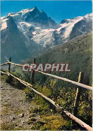 Cartes postales moderne Les Alpes Francaises La Meije