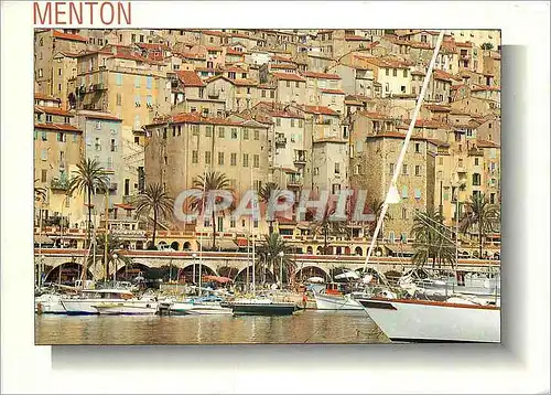 Cartes postales moderne Cote d'Azur Menton Les Maisons sur le Port