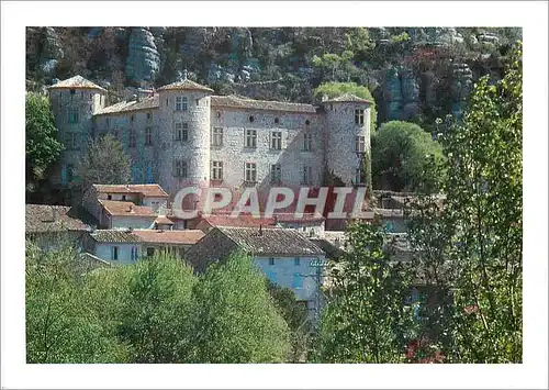 Cartes postales moderne L'Ardeche Le Chateau de Vogue