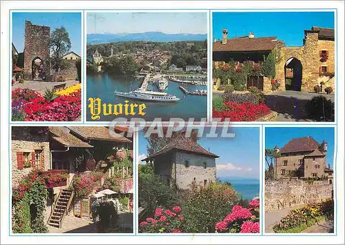 Cartes postales moderne Yvoire Hte Savoie France Cite Medievale fleurie Au bord du Lac Leman